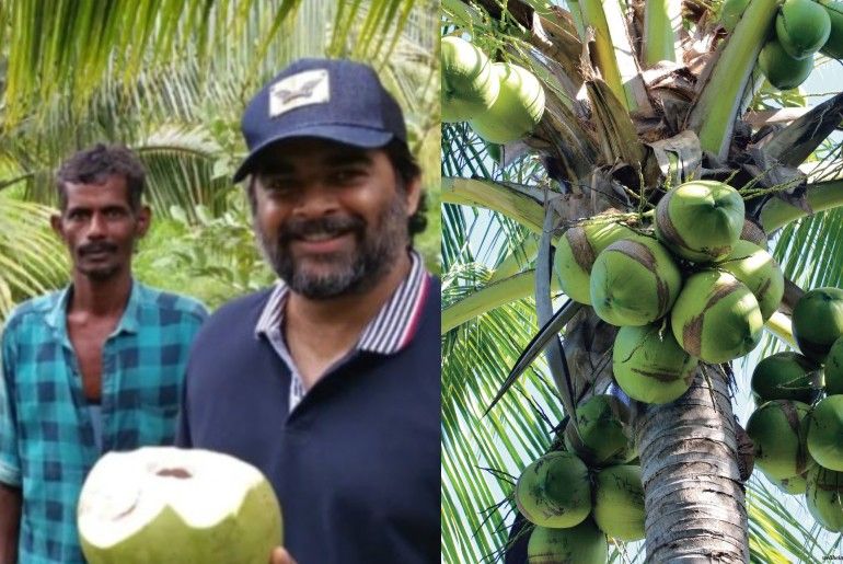 When Actor R. Madhavan Turned Barren Tamil Nadu Land Into Thriving Coconut Paradise