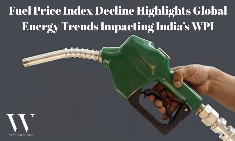 India’s WPI Fuel Component Contracts 4.01%, Balancing Rising Manufacturing Costs