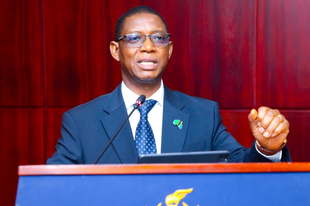 Tanzania's Financial Revolution: Can They Reach 85% Digital Access by 2028?